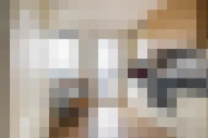 Spangesekade 54 B Rotterdam thumbnail 12