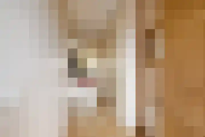 Spangesekade 54 B Rotterdam thumbnail 19
