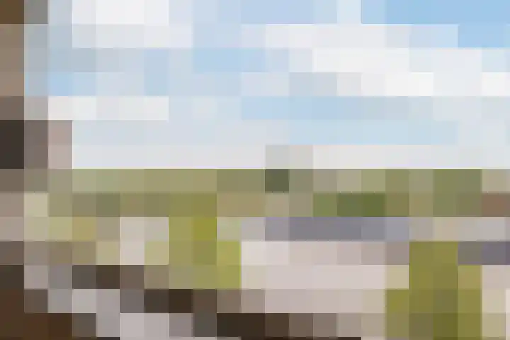 Spangesekade 54 B Rotterdam thumbnail 9