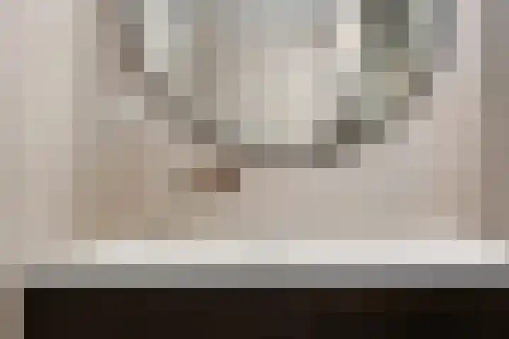 Spangesekade 58 B Rotterdam thumbnail 19