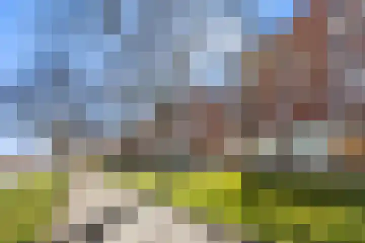 Spangesekade 58 B Rotterdam thumbnail 21