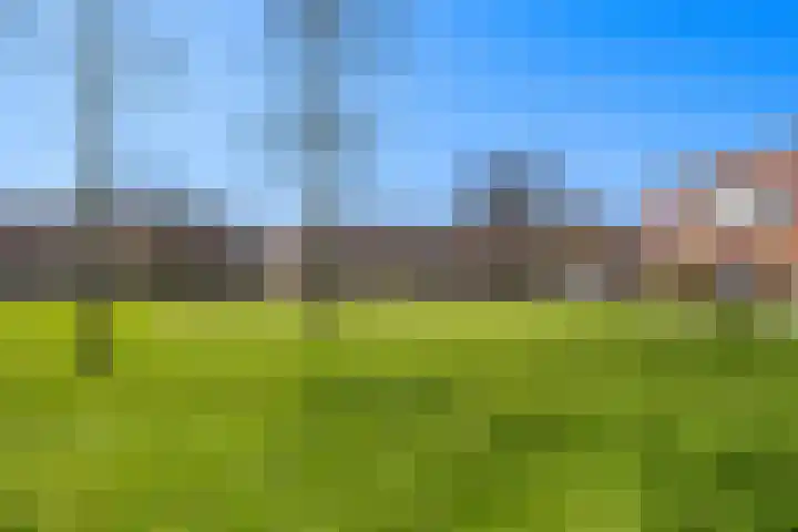 Spangesekade 58 B Rotterdam thumbnail 28