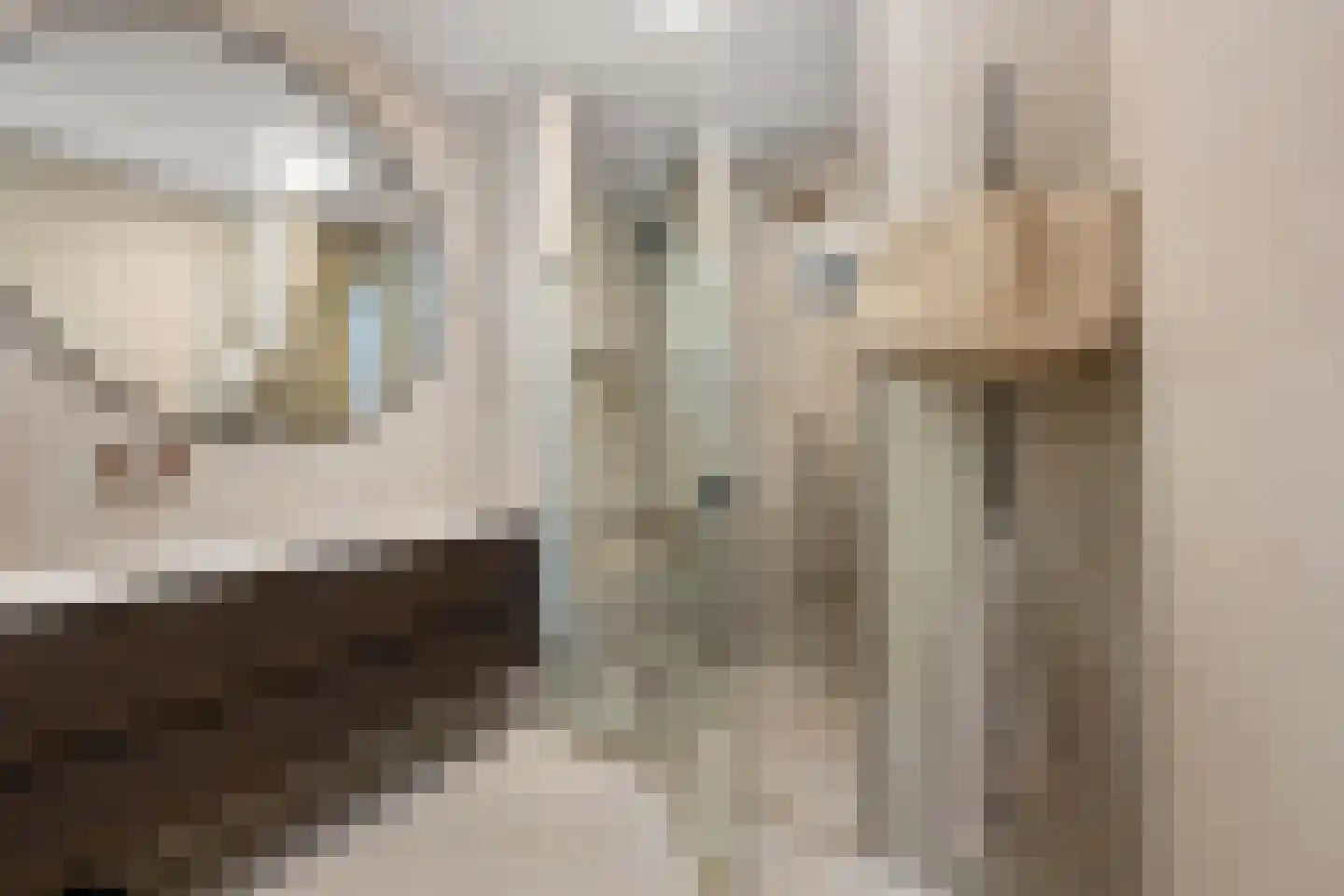 Spangesekade 58 E Rotterdam thumbnail 18