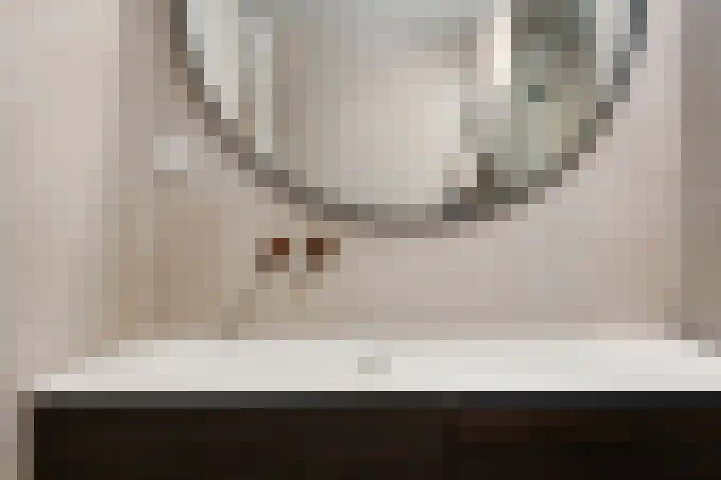 Spangesekade 58 E Rotterdam thumbnail 19
