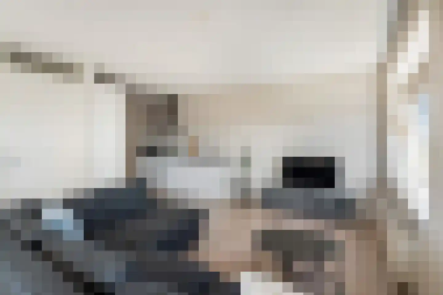 Spangesekade 59 C Rotterdam thumbnail 11