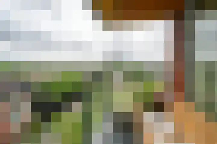Spangesekade 62 B Rotterdam thumbnail 11
