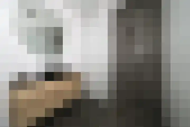 Spangesekade 62 B Rotterdam thumbnail 21