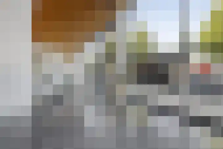 Spangesekade 62 B Rotterdam thumbnail 21