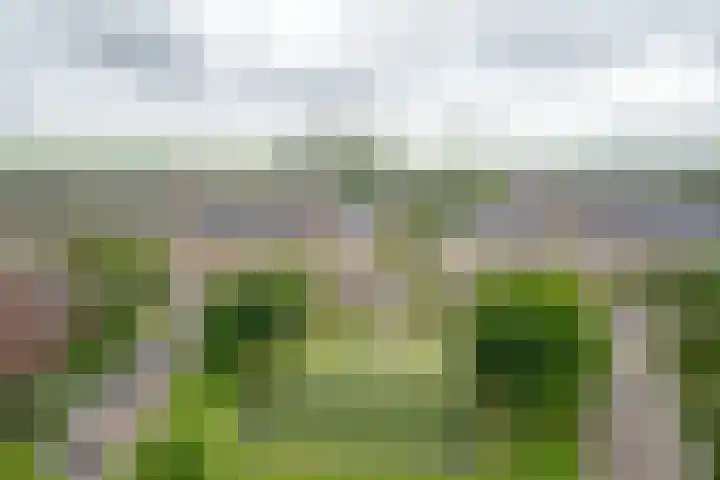 Spangesekade 62 B Rotterdam thumbnail 26