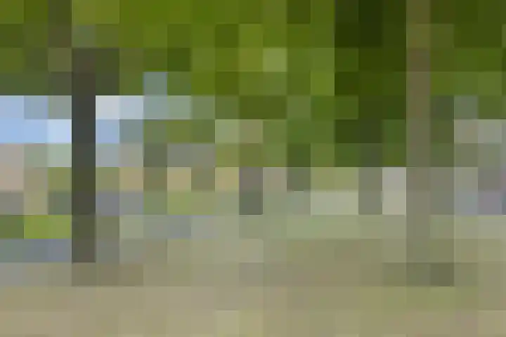 Spangesekade 62 B Rotterdam thumbnail 26