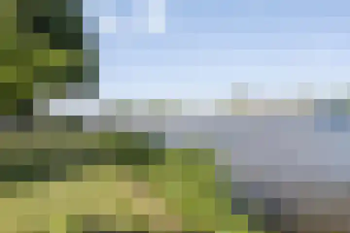 Spangesekade 62 B Rotterdam thumbnail 27