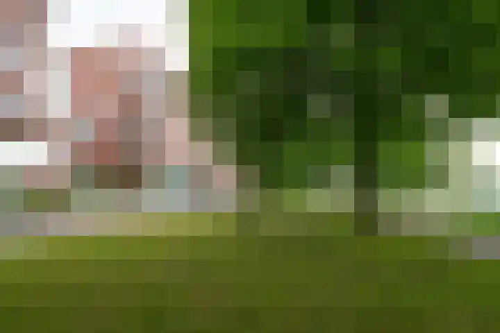 Spangesekade 62 B Rotterdam thumbnail 5
