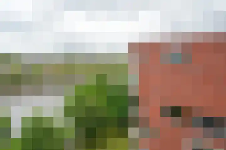 Spangesekade 62 B Rotterdam thumbnail 6