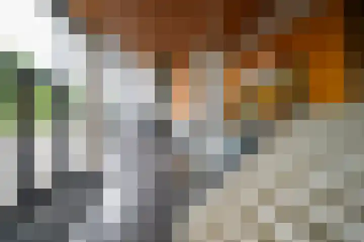 Spangesekade 62 B Rotterdam thumbnail 7
