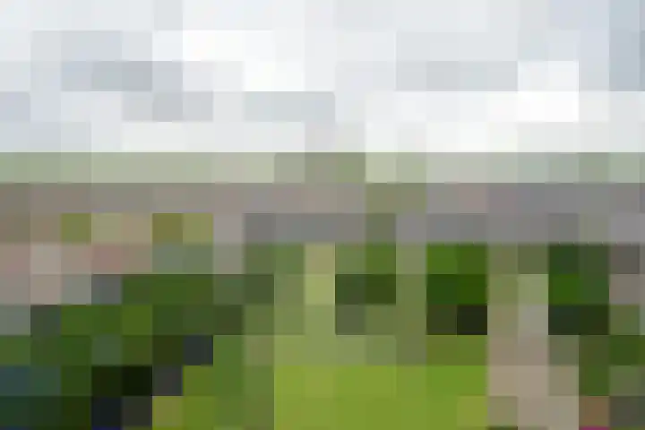 Spangesekade 62 B Rotterdam thumbnail 9