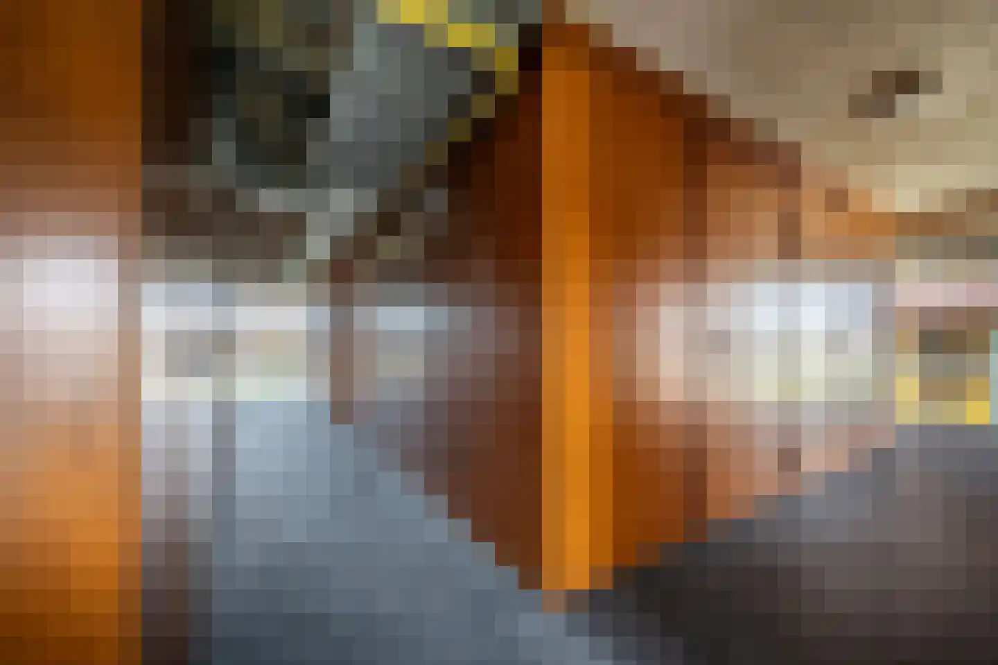 Spangesekade 70 B Rotterdam thumbnail 23