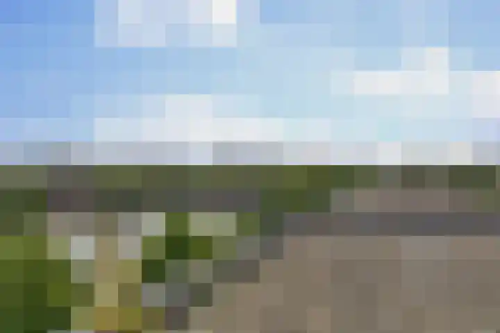 Spangesekade 79 C Rotterdam thumbnail 22
