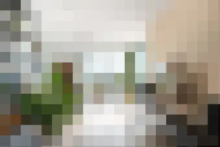 Spangesekade 79 C Rotterdam thumbnail 26
