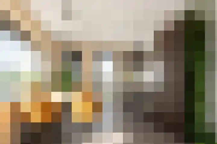Spangesekade 79 C Rotterdam thumbnail 30