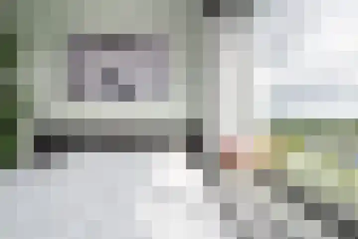 Spangesekade 79 C Rotterdam thumbnail 49