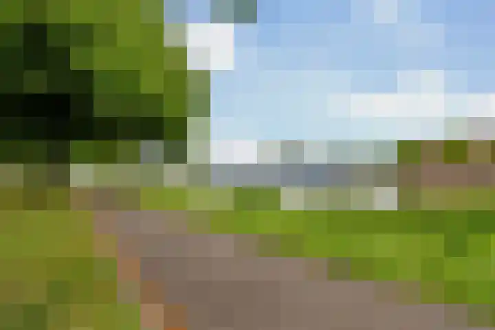 Spangesekade 79 C Rotterdam thumbnail 65