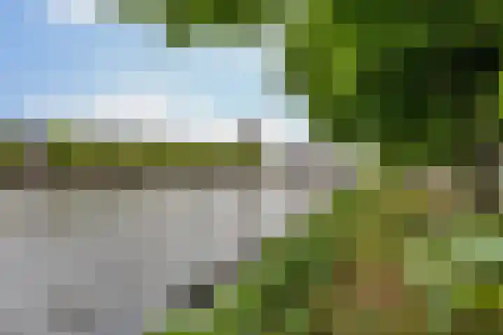 Spangesekade 79 C Rotterdam thumbnail 67