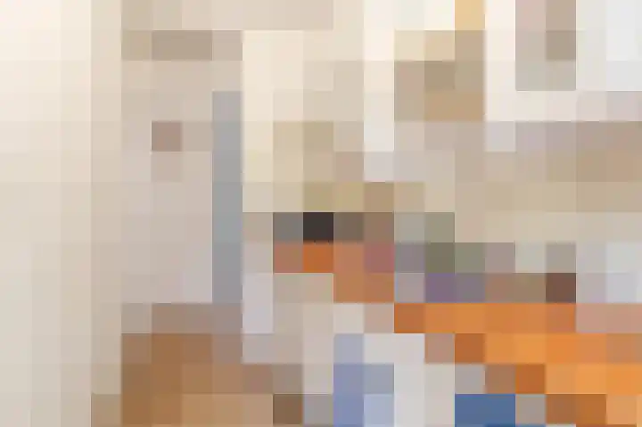 Spangesekade 93 C Rotterdam thumbnail 17