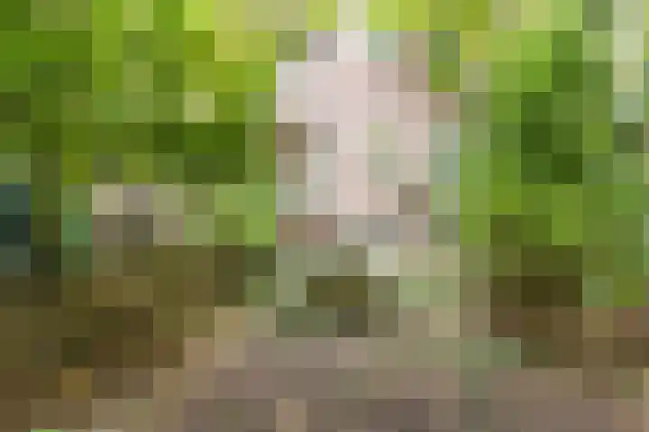 Spangesekade 93 C Rotterdam thumbnail 27
