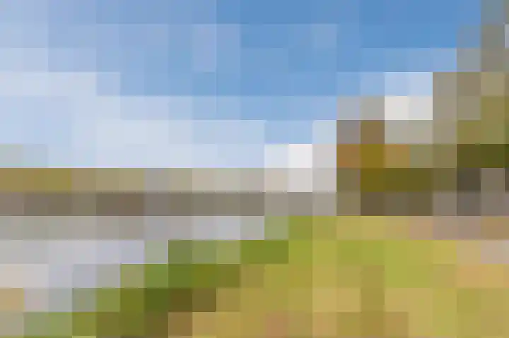 Spangesekade 93 C Rotterdam thumbnail 31