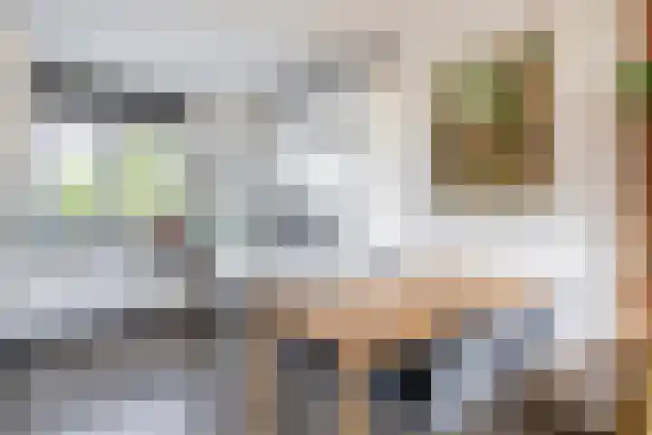 Spangesekade 95 B Rotterdam thumbnail 12