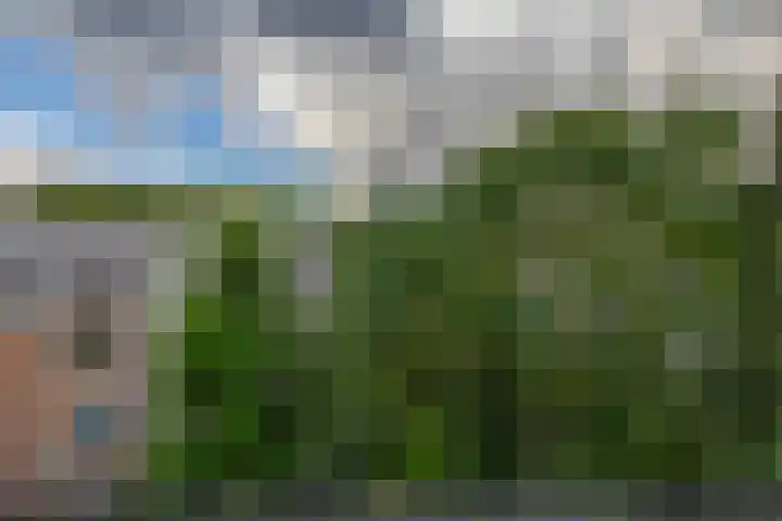Spangesekade 95 B Rotterdam thumbnail 17