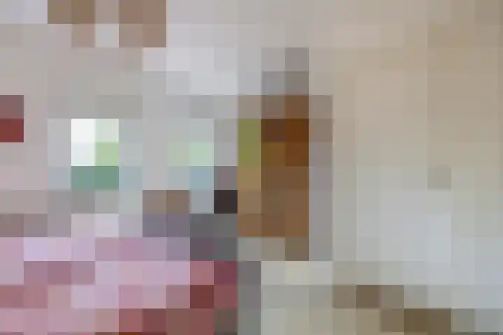 Spangesekade 95 B Rotterdam thumbnail 23
