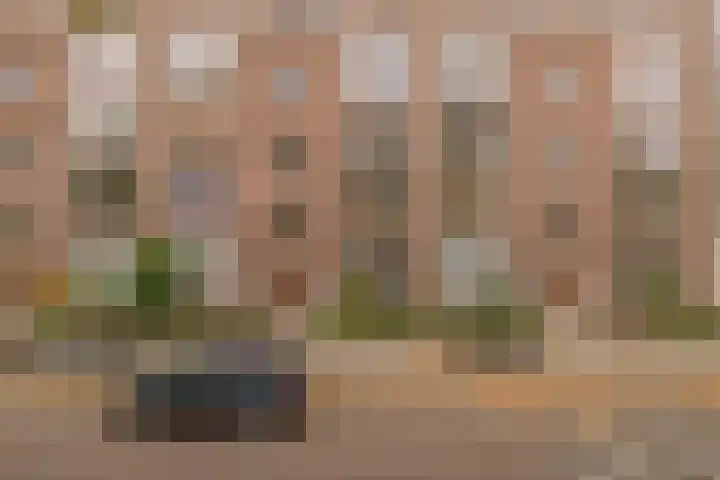 Spangesekade 95 B Rotterdam thumbnail 27