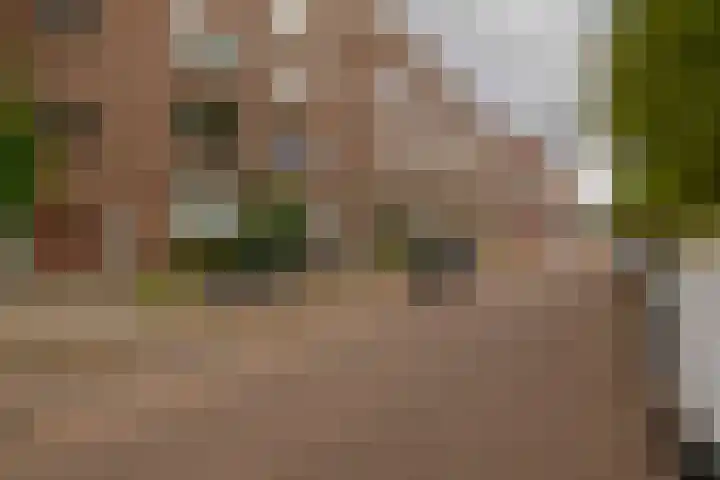 Spangesekade 95 B Rotterdam thumbnail 28