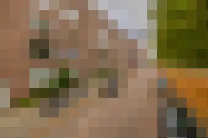 Spangesekade 95 B Rotterdam thumbnail 29