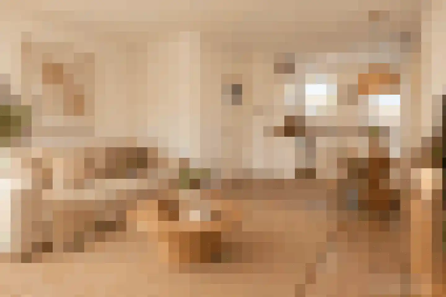 Spangesekade 97 D Rotterdam thumbnail 5