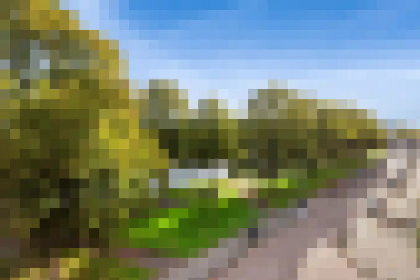 Spangesekade 97 D Rotterdam thumbnail 8