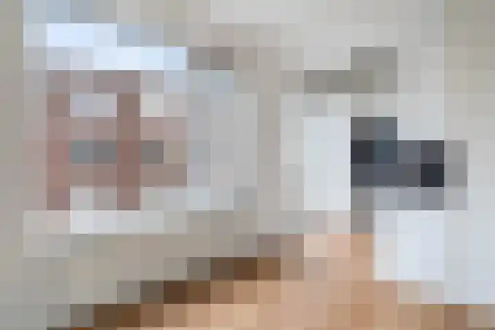 Spangesekade 98 B Rotterdam thumbnail 16