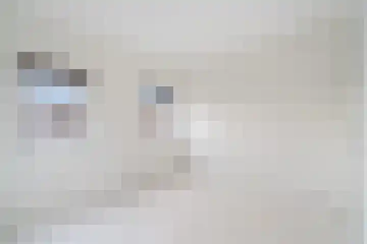 Spangesekade 98 B Rotterdam thumbnail 27