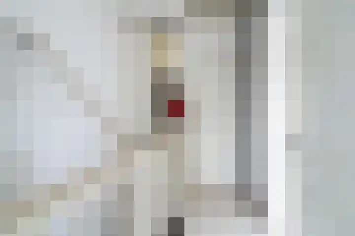 Spangesekade 98 B Rotterdam thumbnail 31