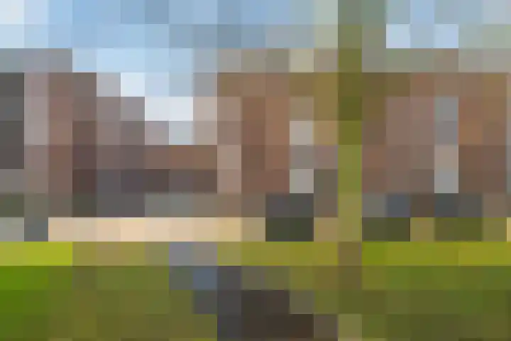 Spangesekade 98 B Rotterdam thumbnail 44
