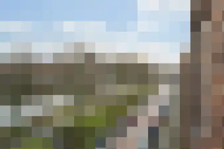 Spangesekade 98 B Rotterdam thumbnail 9