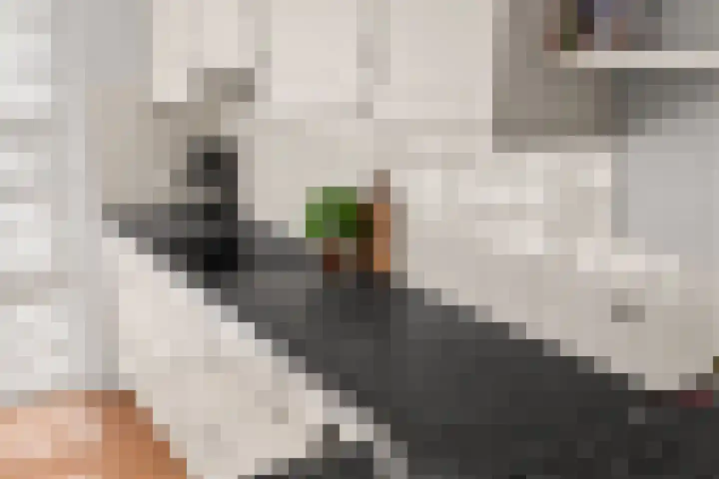 Spanhout 2 Houten thumbnail 16