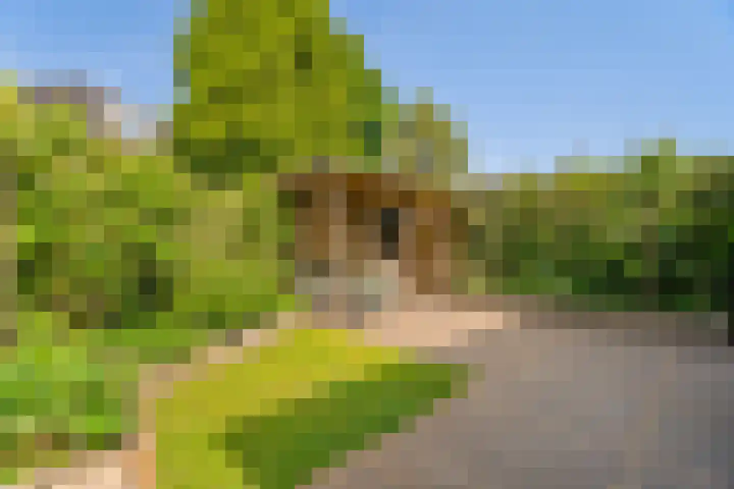 Spanhout 2 Houten thumbnail 21