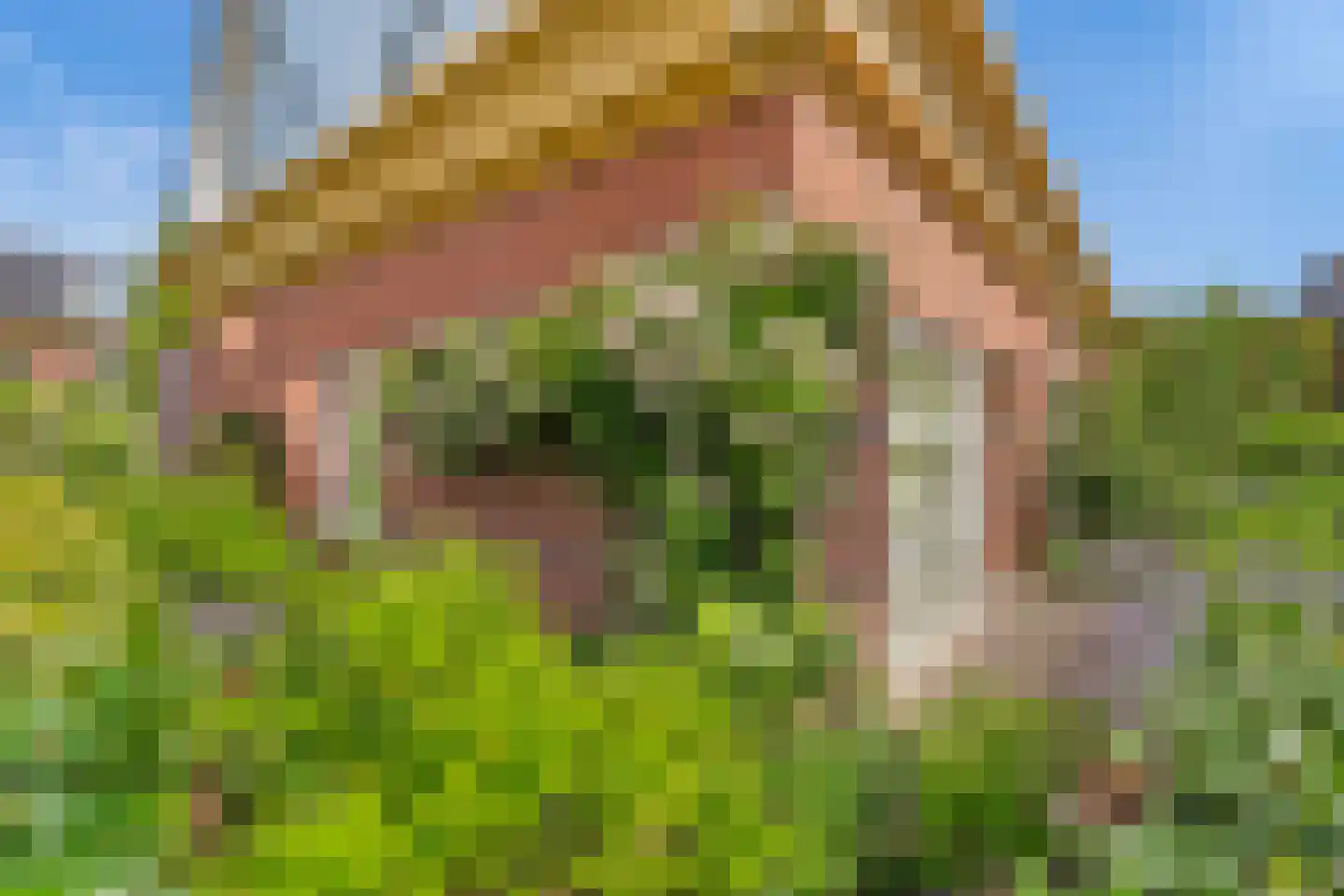 Spanhout 2 Houten thumbnail 44
