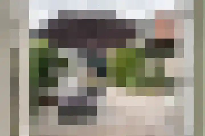Spanjaardsberglaan 6 Santpoort-Noord thumbnail 12