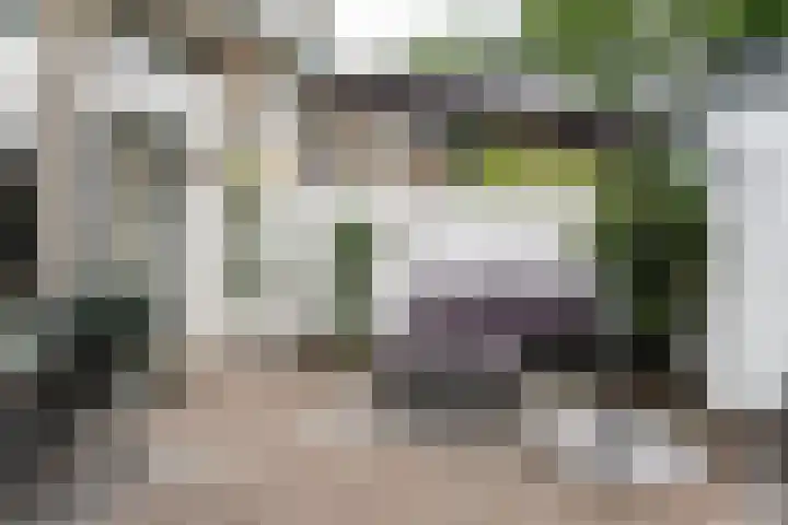 Spanjaardsberglaan 6 Santpoort-Noord thumbnail 13