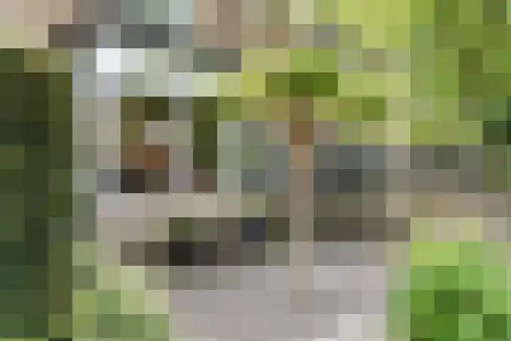 Spanjaardsberglaan 6 Santpoort-Noord thumbnail 31
