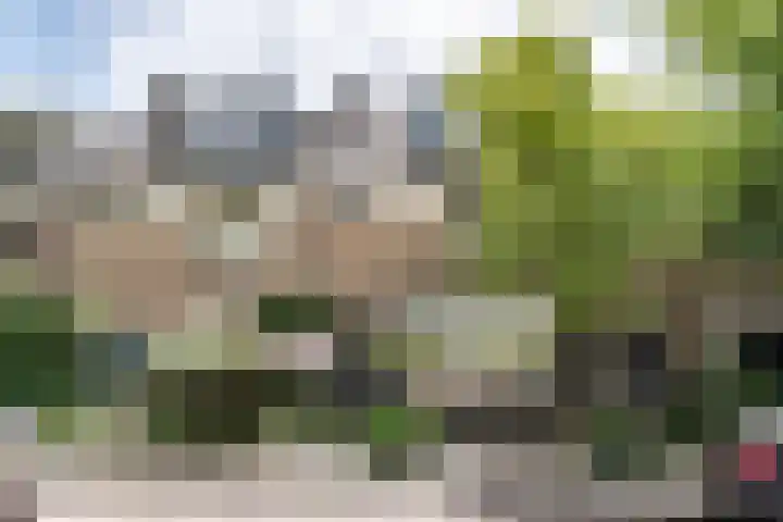 Spanjaardsberglaan 6 Santpoort-Noord thumbnail 32