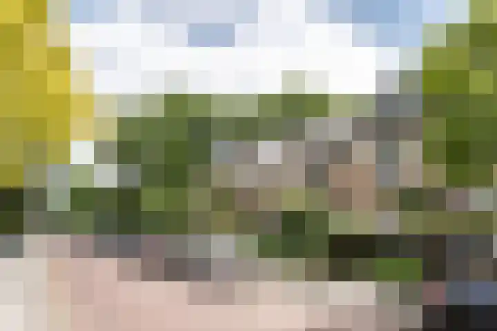 Spanjaardsberglaan 6 Santpoort-Noord thumbnail 33